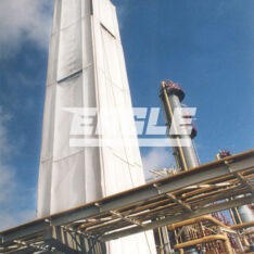 Eagle ERAX System