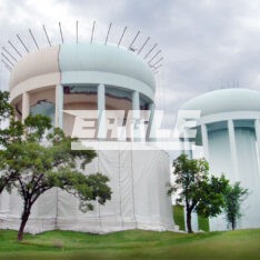 Eagle TEPE System