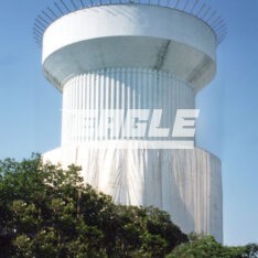 Eagle TEPE System